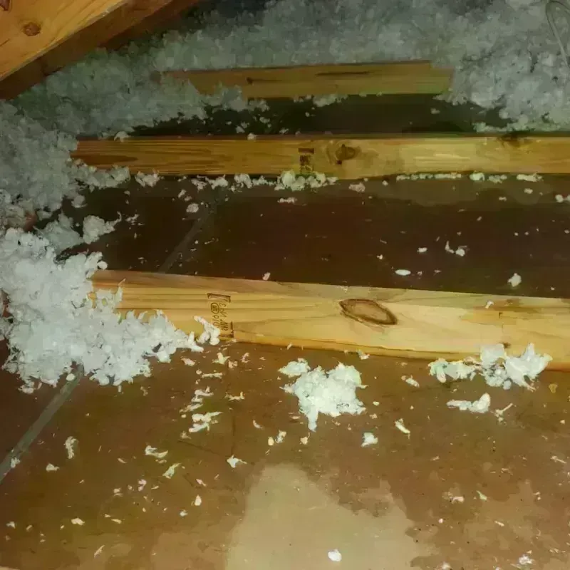 Attic Water Damage in Penn Hills, PA